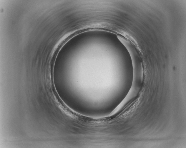 X0000070400792200606161344