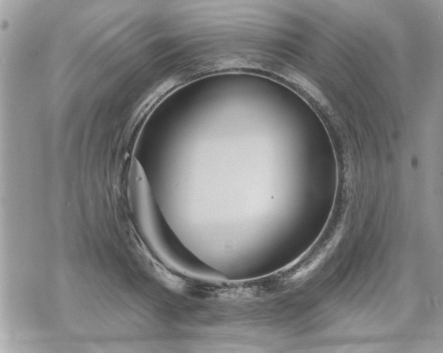 X0000070400793200606161344