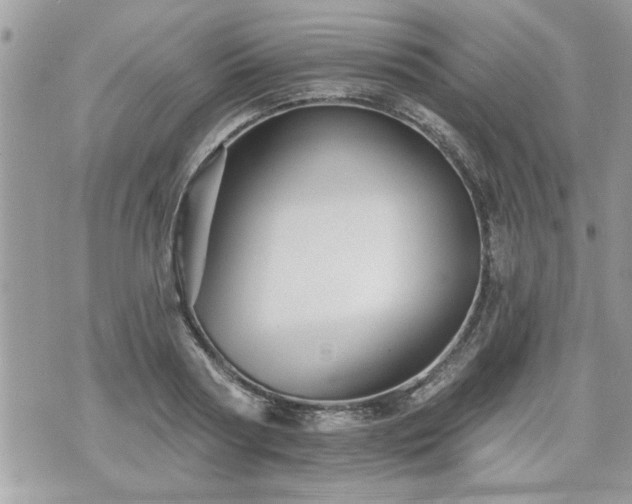 X0000070400794200606161344