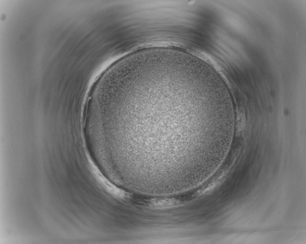 X0000070400795200606161344