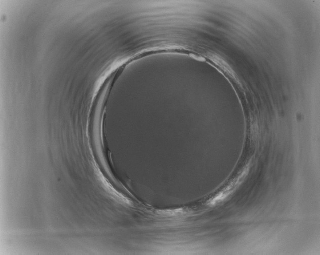 X0000070400797200606161344