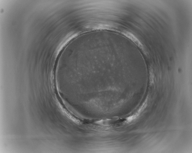 X0000070400798200606161344