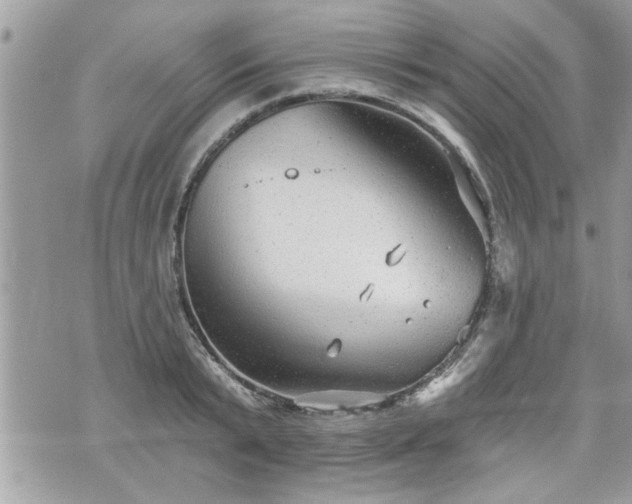 X0000070400799200606161344