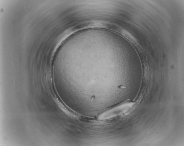 X0000070400800200606161344