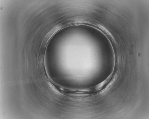 X0000070400801200606161344