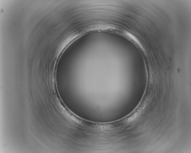 X0000070400802200606161344