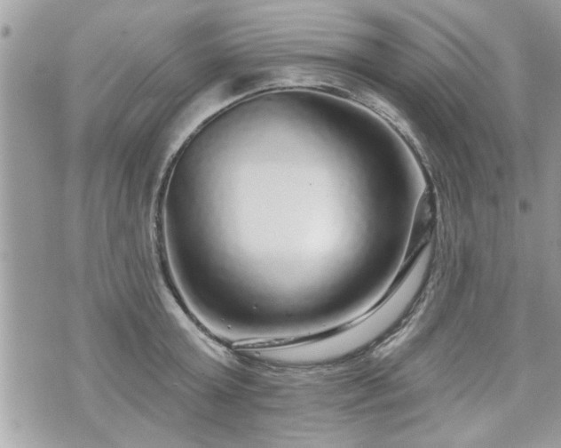 X0000070400803200606161344