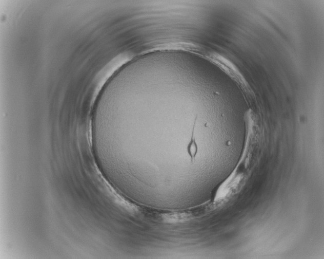 X0000070400804200606161344