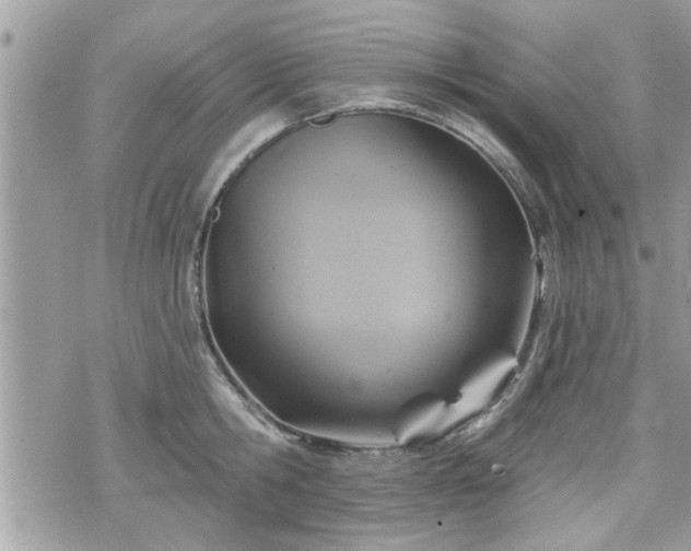 X0000070400806200606161344