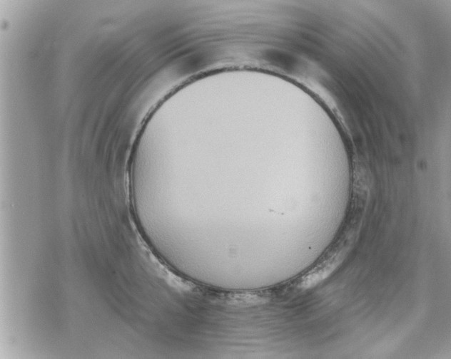 X0000070400807200606161344