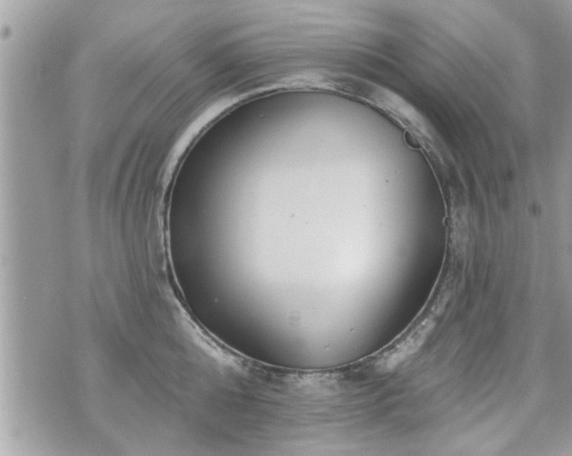 X0000070400808200606161344