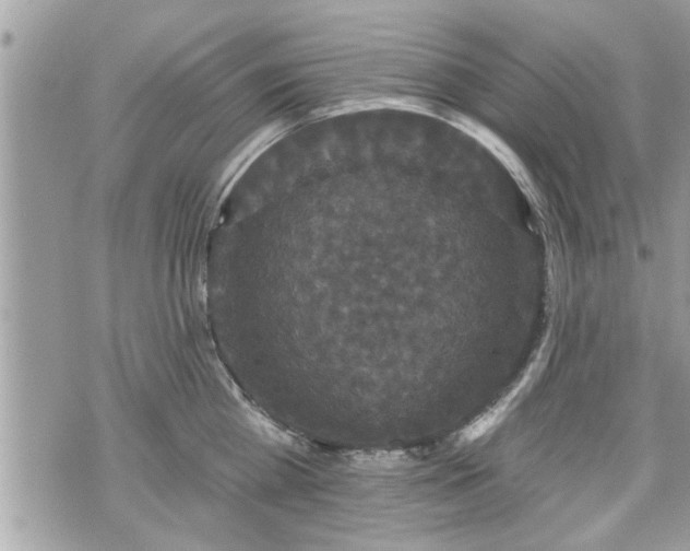 X0000070400809200606161344