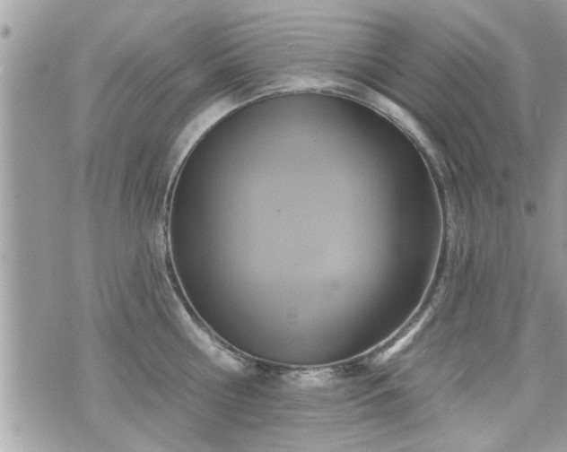 X0000070400810200606161344