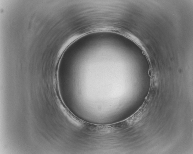 X0000070400811200606161344