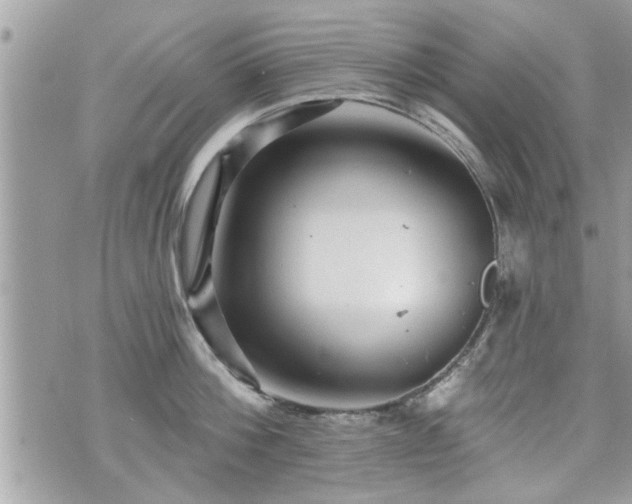 X0000070400812200606161344