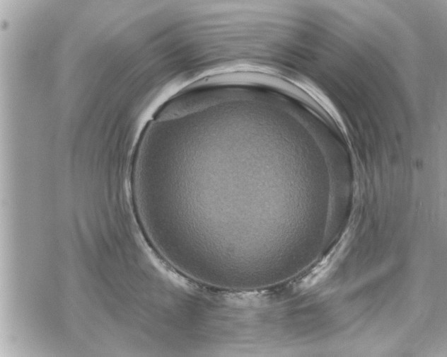 X0000070400813200606161344