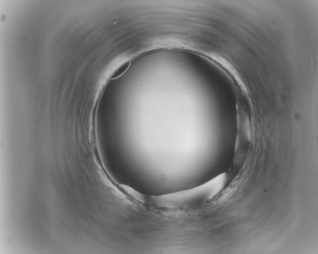 X0000070400815200606161344