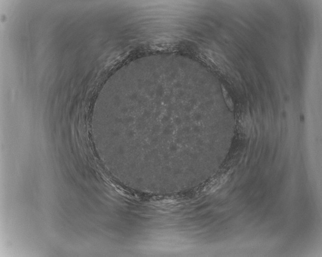 X0000070400817200606161343