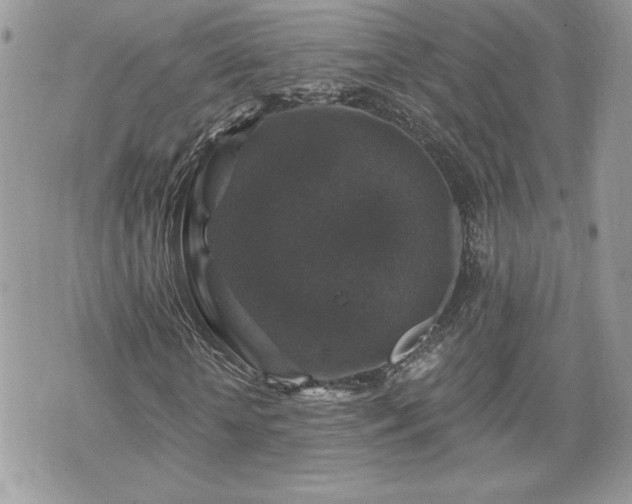 X0000070400818200606161343