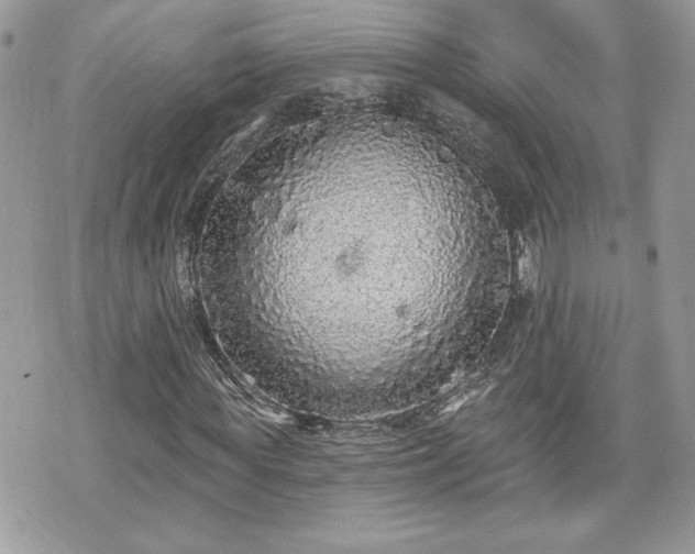 X0000070400819200606161343