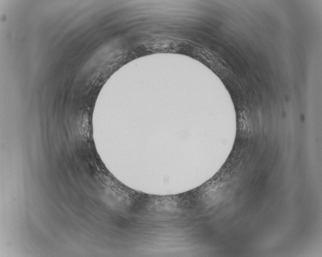 X0000070400820200606161343