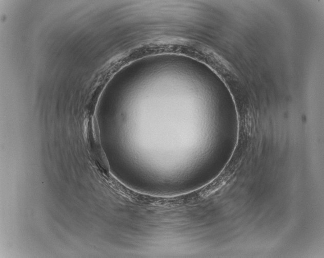 X0000070400821200606161343