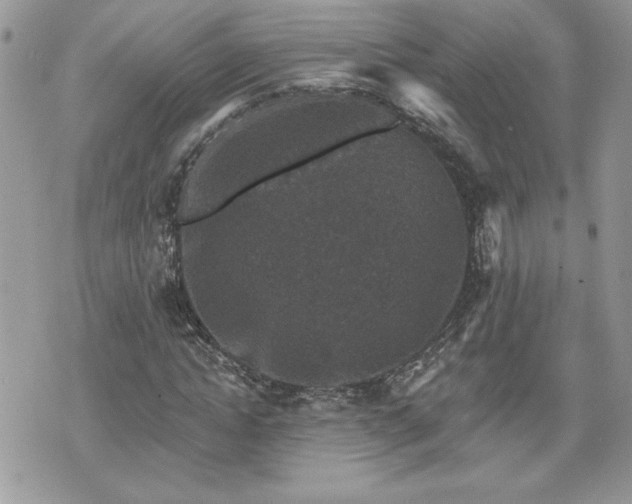 X0000070400822200606161343