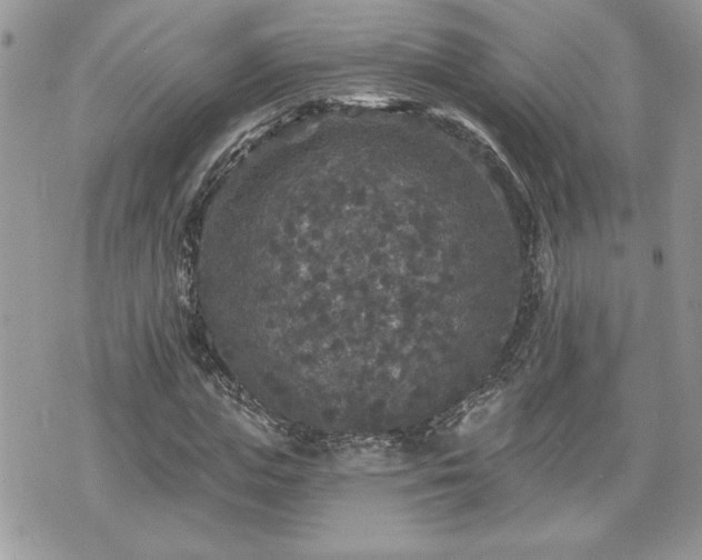 X0000070400823200606161343