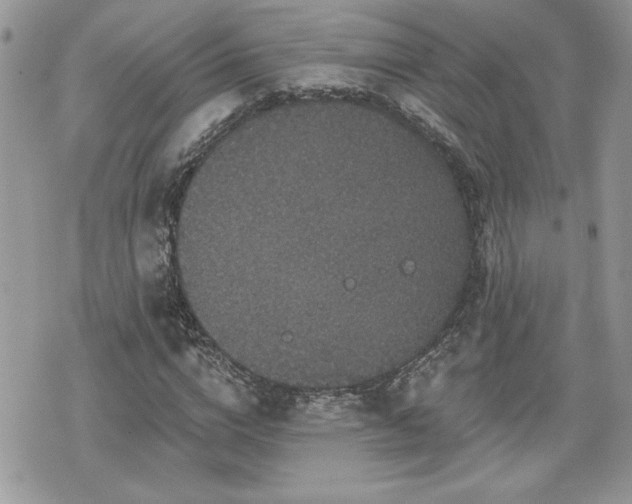 X0000070400824200606161343