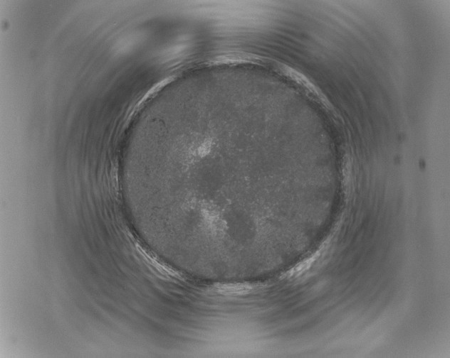 X0000070400825200606161343