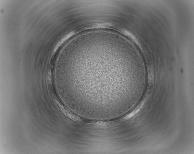 X0000070400827200606161343