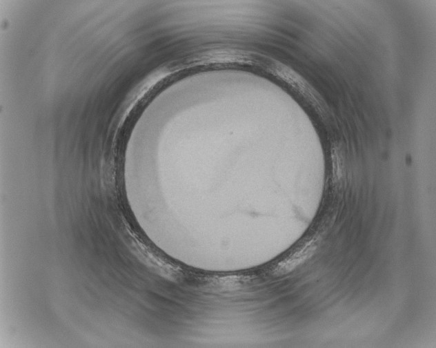 X0000070400828200606161343