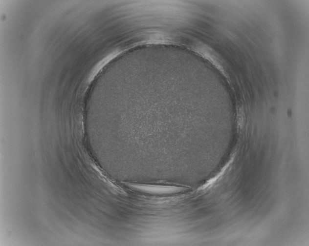 X0000070400829200606161343