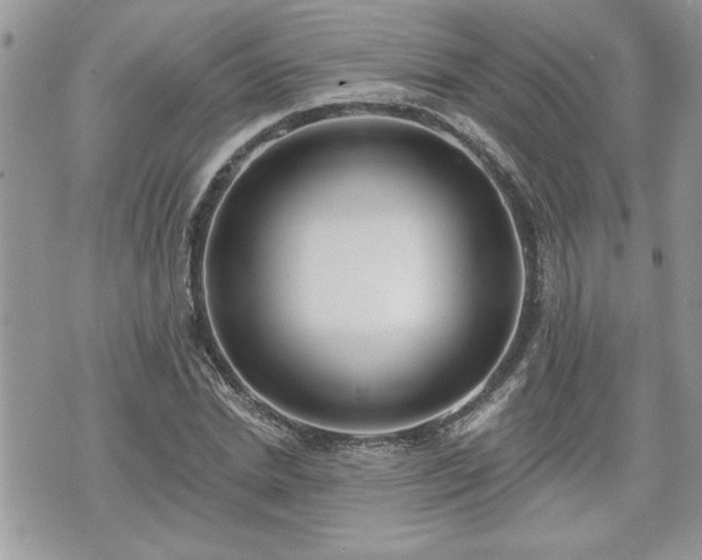 X0000070400830200606161343