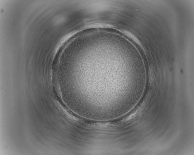 X0000070400831200606161343