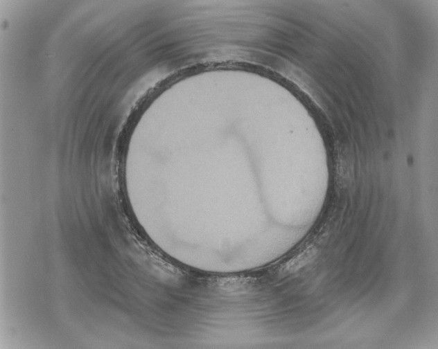 X0000070400832200606161343