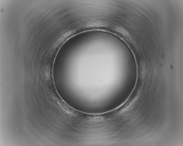 X0000070400833200606161343