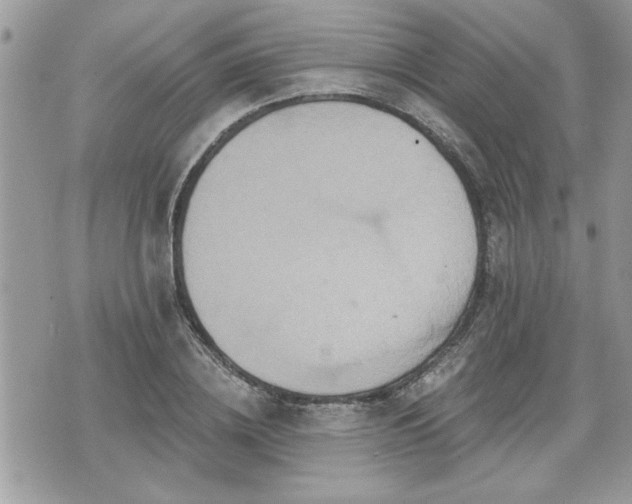 X0000070400836200606161343