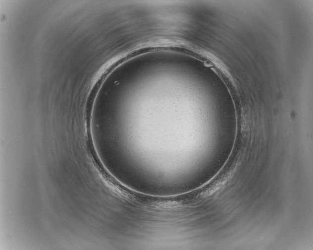 X0000070400837200606161343