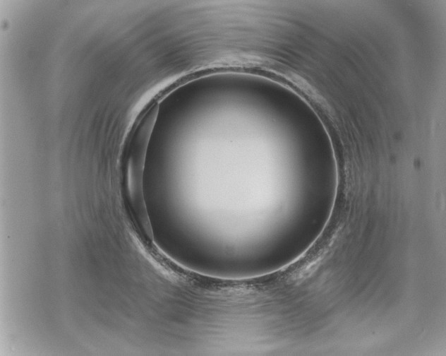 X0000070400838200606161343