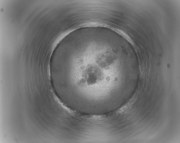 X0000070400839200606161343