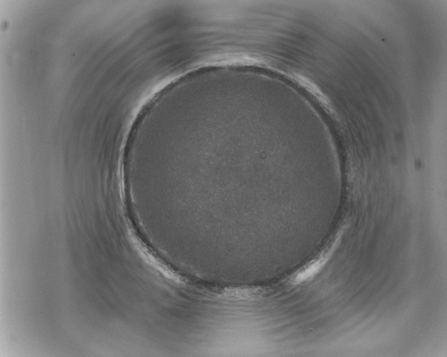 X0000070400840200606161343