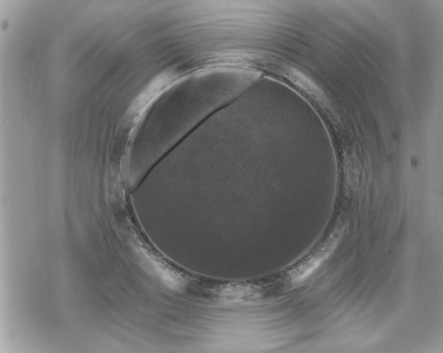 X0000070400842200606161343