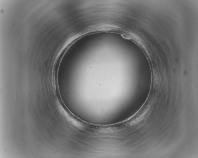 X0000070400843200606161343