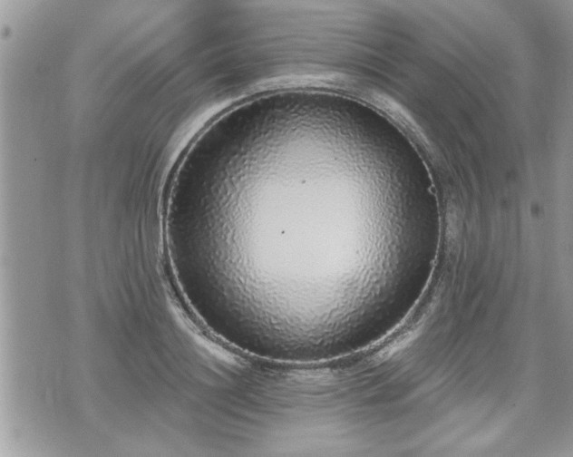 X0000070400844200606161343