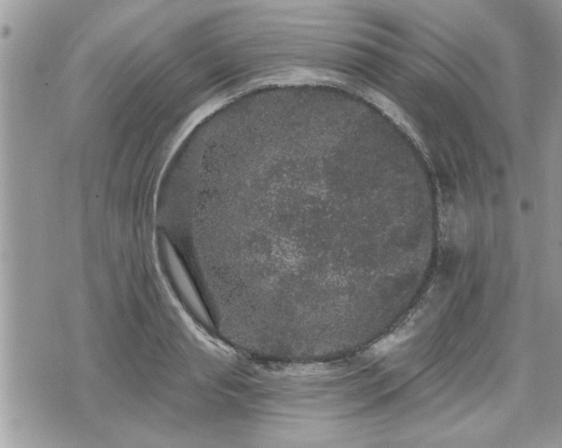 X0000070400845200606161343