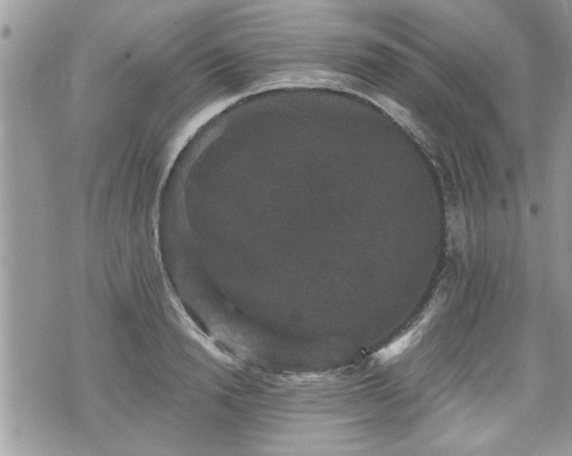 X0000070400846200606161343