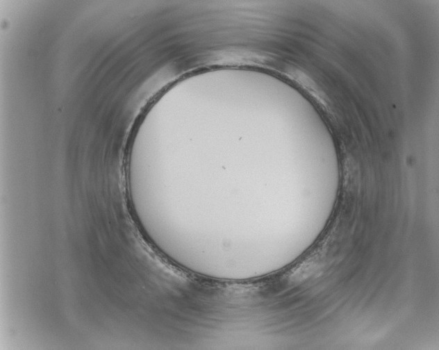 X0000070400848200606161343