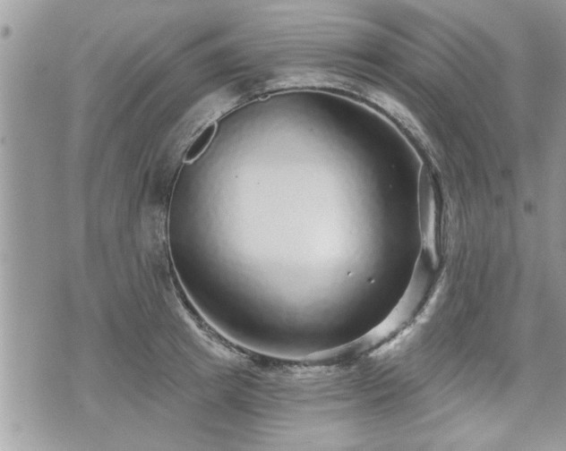 X0000070400849200606161343