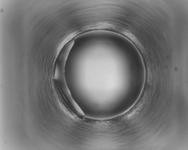 X0000070400850200606161343